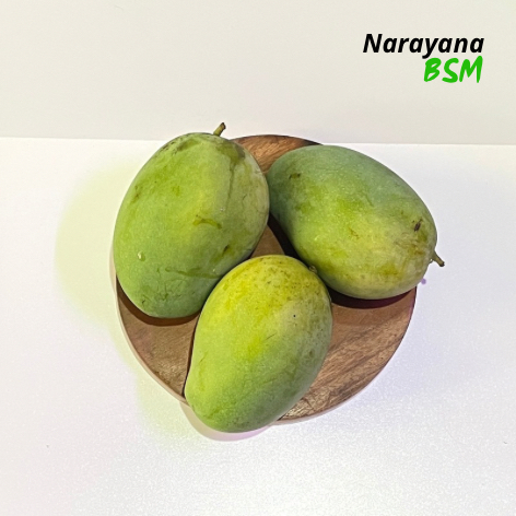 

Buah Mangga Harum Manis Segar Super Quality