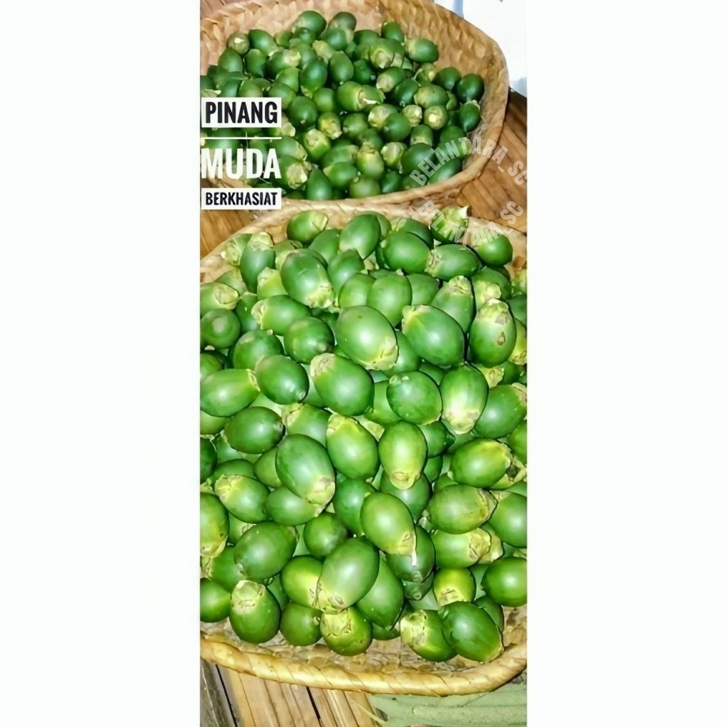 

Pinang Muda fresh 1kg
