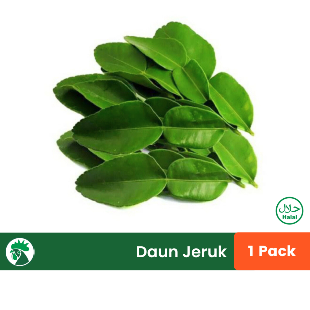 Daun Jeruk Purut | Daun Jeruk Bumbu Masak | Bumbu dapur Daun Jeruk