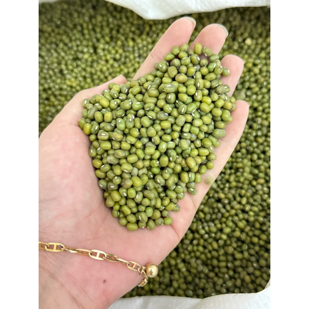 

Kacang Hijau Bubur Biji Besar (import australia)
