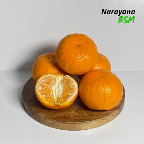

Buah Jeruk Mandarin Murcot Wokam Wogan 1.000 Gram