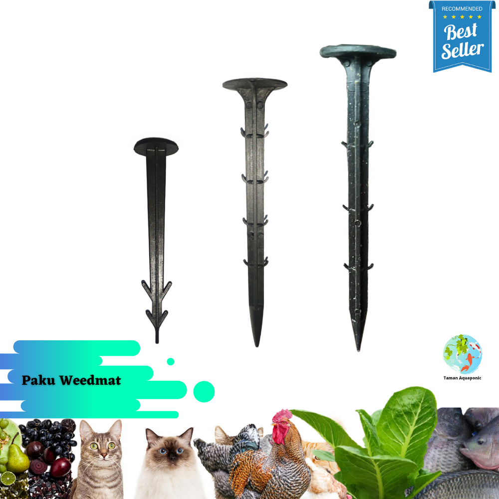Paku Weedmat Mulsa High Quality