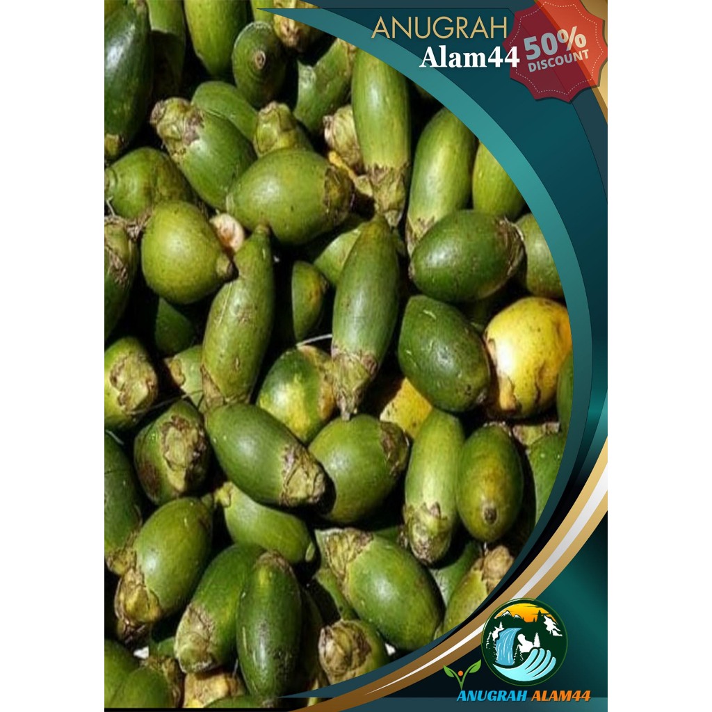 

PINANG MUDA SEGAR 1 KG /BUAH PINANG /JAMBE MUDA /PINANG MUDA