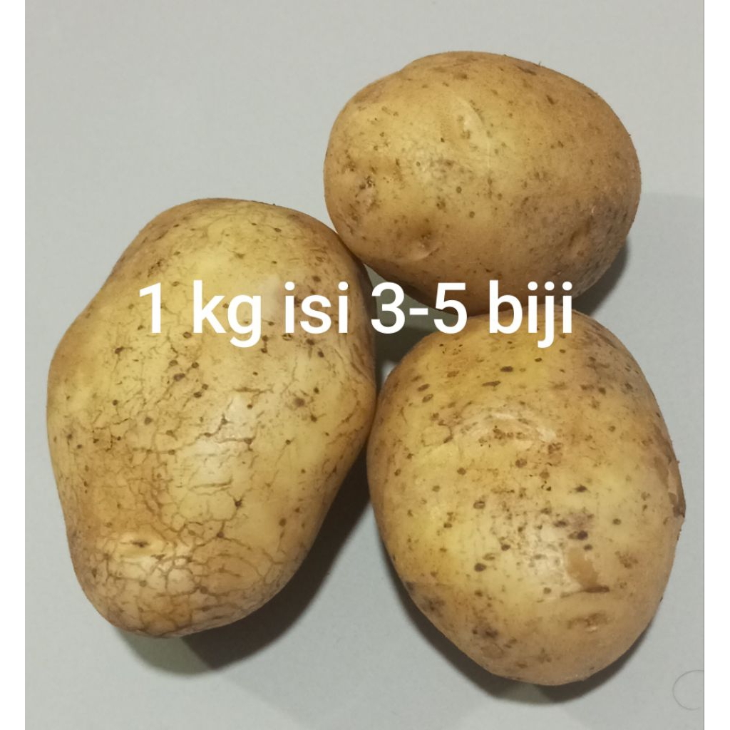 

Kentang besar harga per kg harga promo