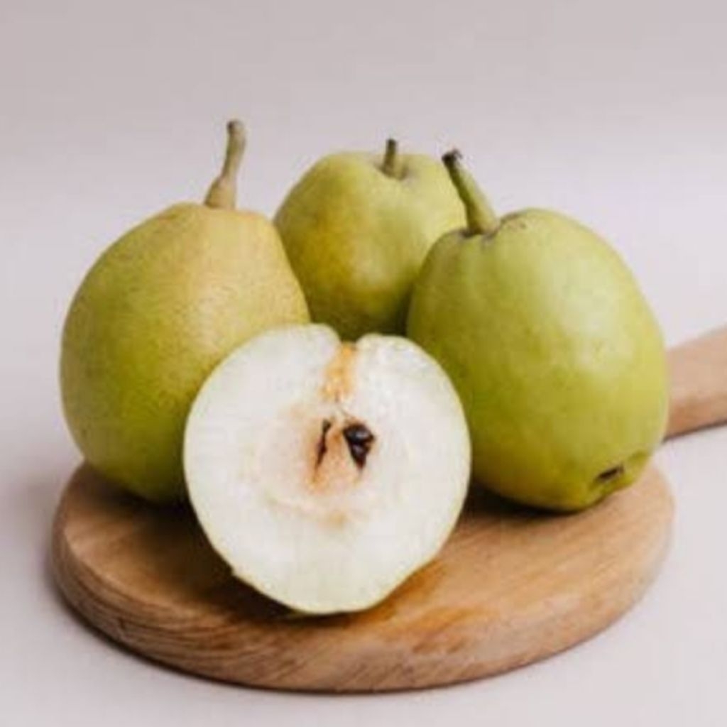 

Buah Pear Xiang Lie 500gr Import Manis Renyah Segar Fresh Promo Termurah Hemat Harga Terjangkau