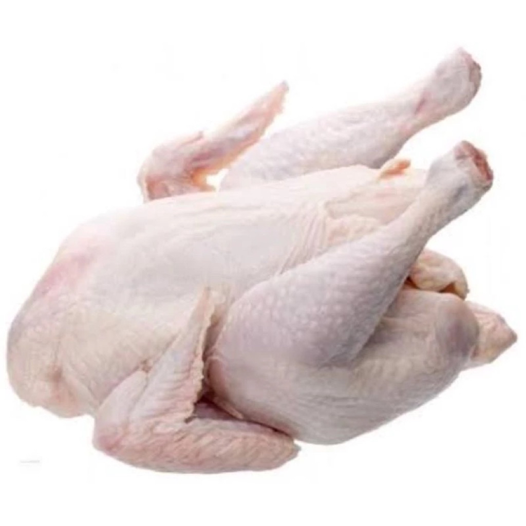 

ayam utuh ukuran besar