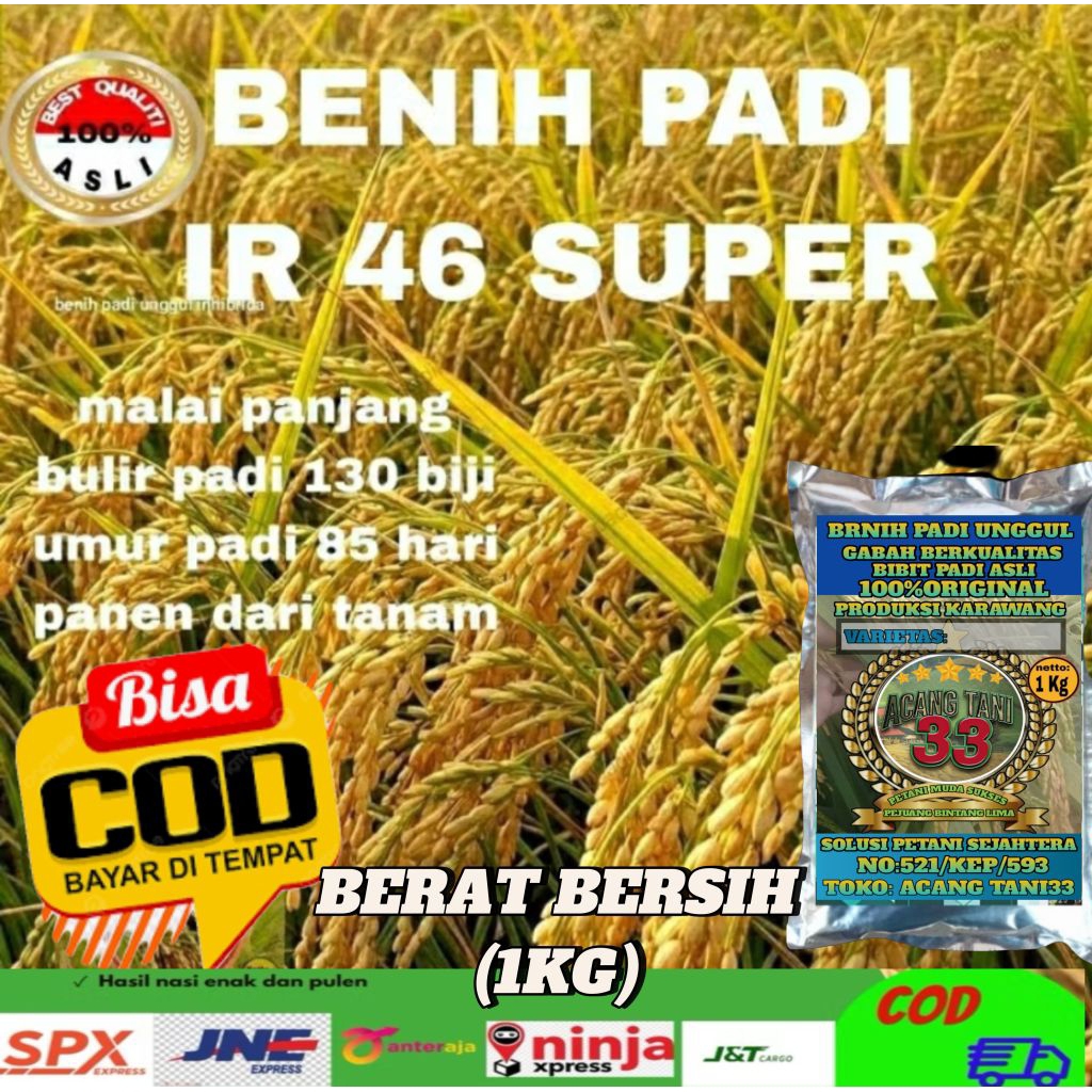 BENIH PADI BERKUALITAS IR 46 SUPER UNGGUL PER.5KG.