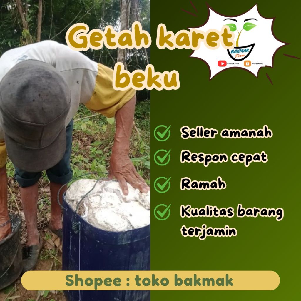 GETAH POHON KARET LATEK LATEKS LATEX BEKU bidor balam bendo cair kawat topi sepatu kebun lem pulut p