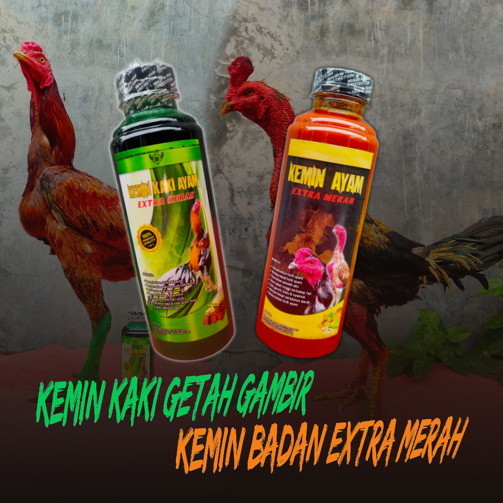 [ PAKET KEMIN ] Kemin badan & Kemin kaki ayam tarung by BN