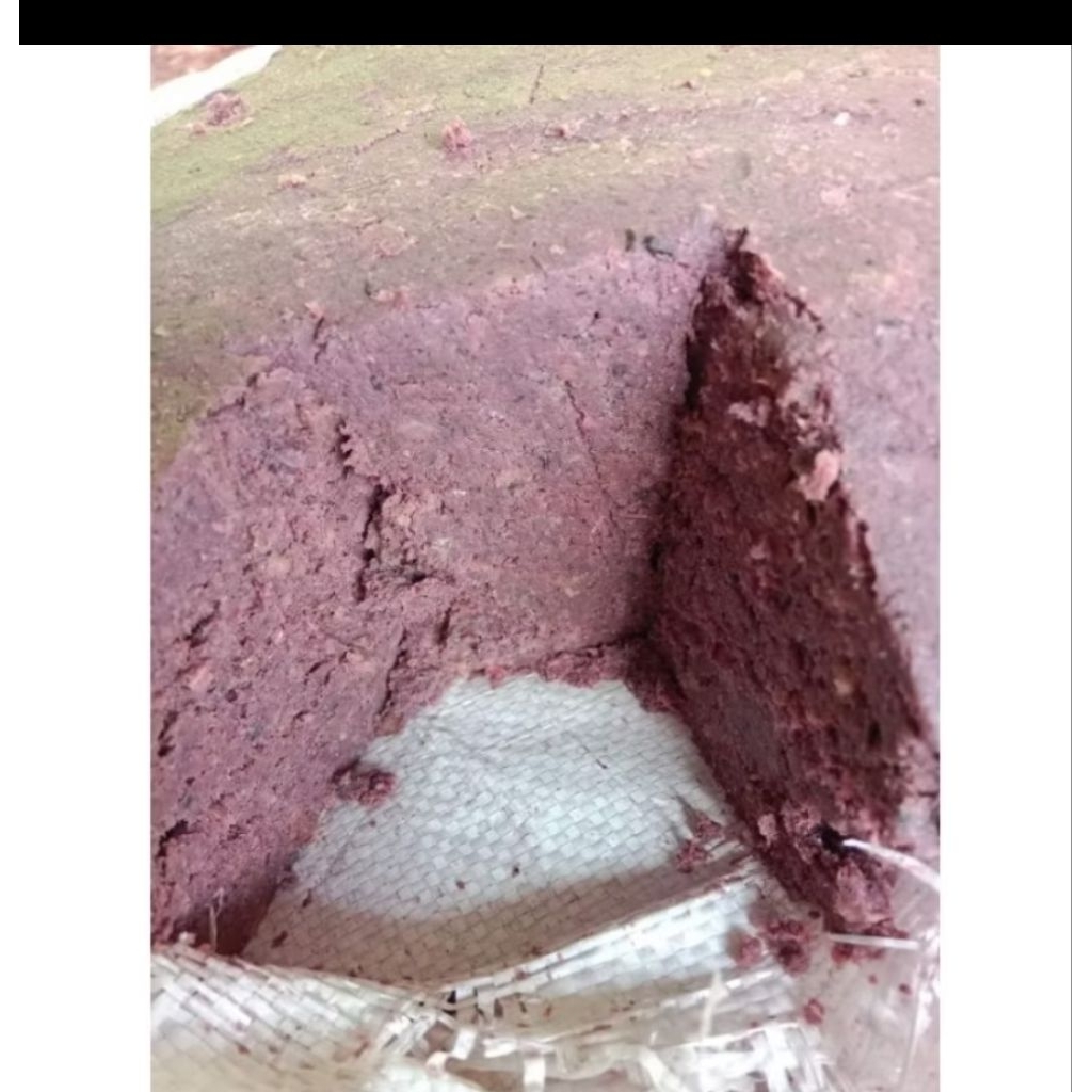 

Terasi / belacan / calok asli wang tobo cengal-selapan ogan komering ilir