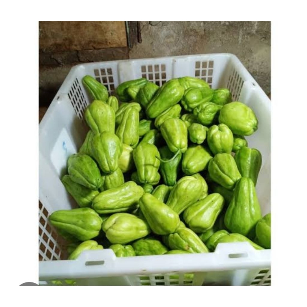 

[ANS] 1kg Labu Siam Baby Segar