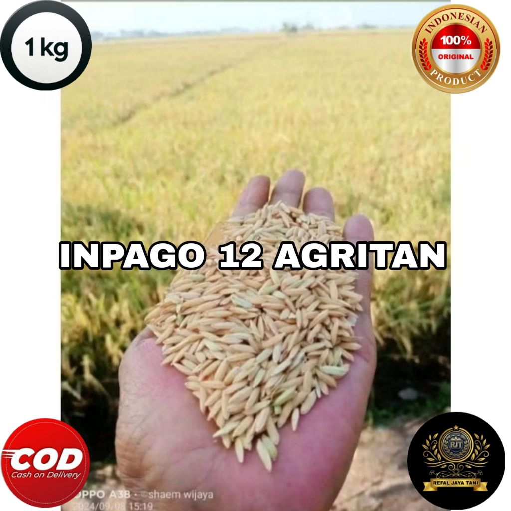 BENIH PADI INPAGO 12 AGRITAN KEMASAN 1KG