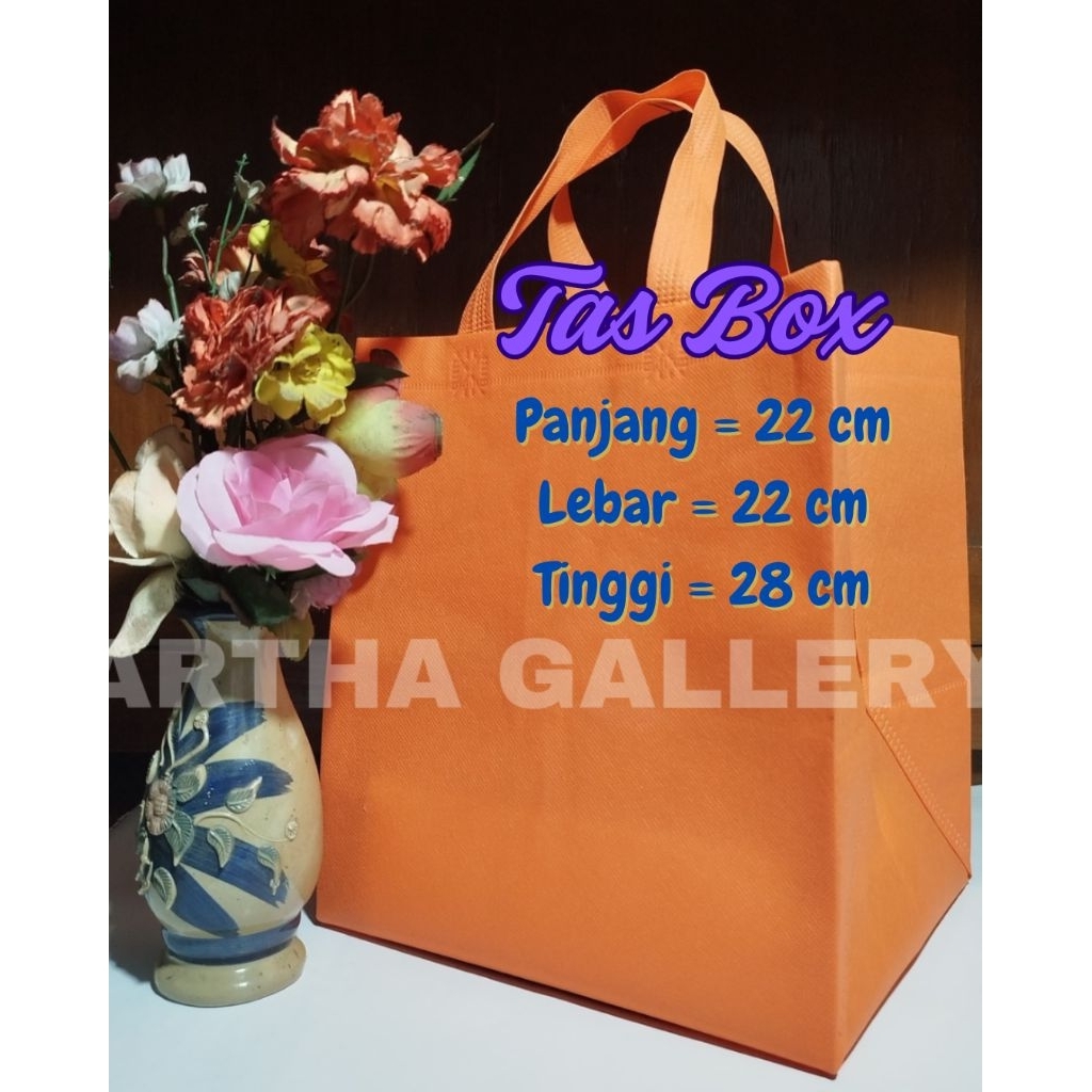 

1 Bal (60 Pcs) Tas Box 22x22cm Tinggi 28cm / Tas Hajatan / Tas Spunbond / Goodie Bag / Tas Ramah Lingkungan