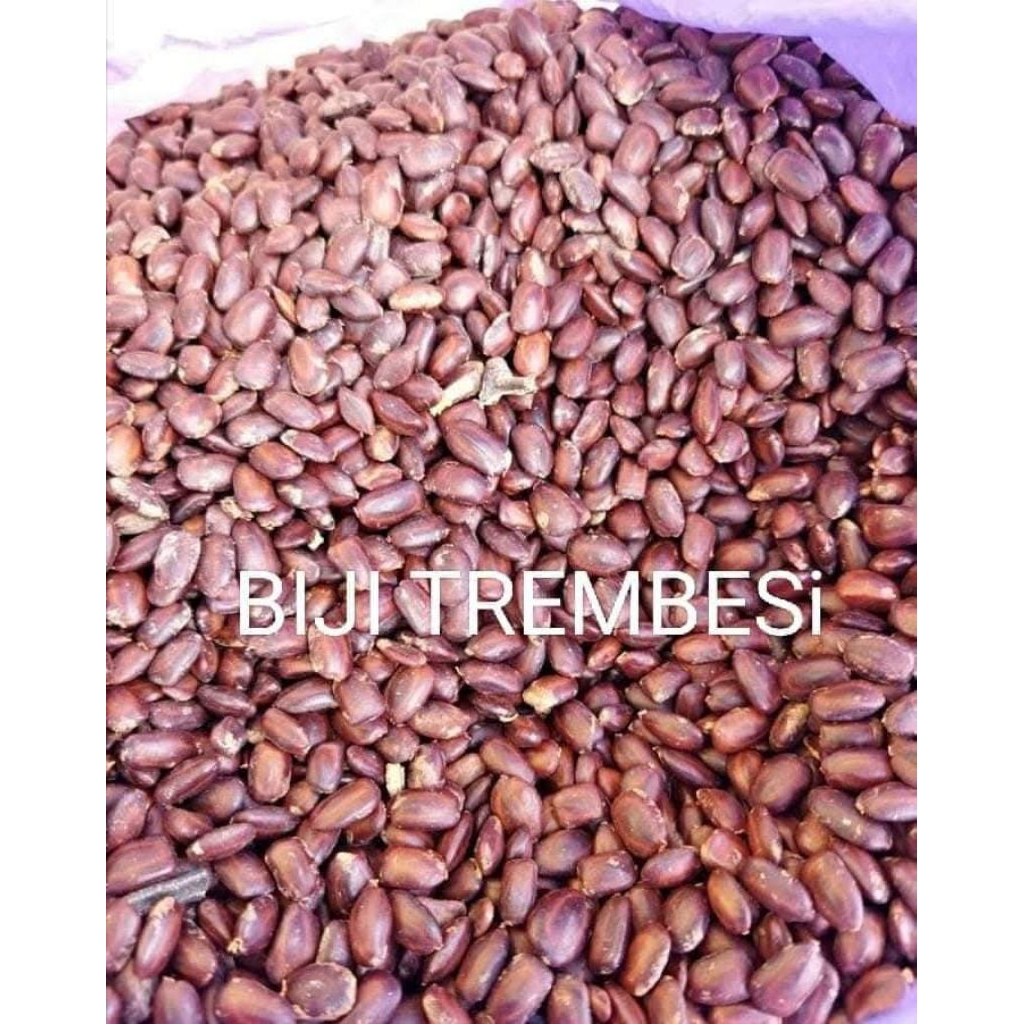 Biji trembesi
