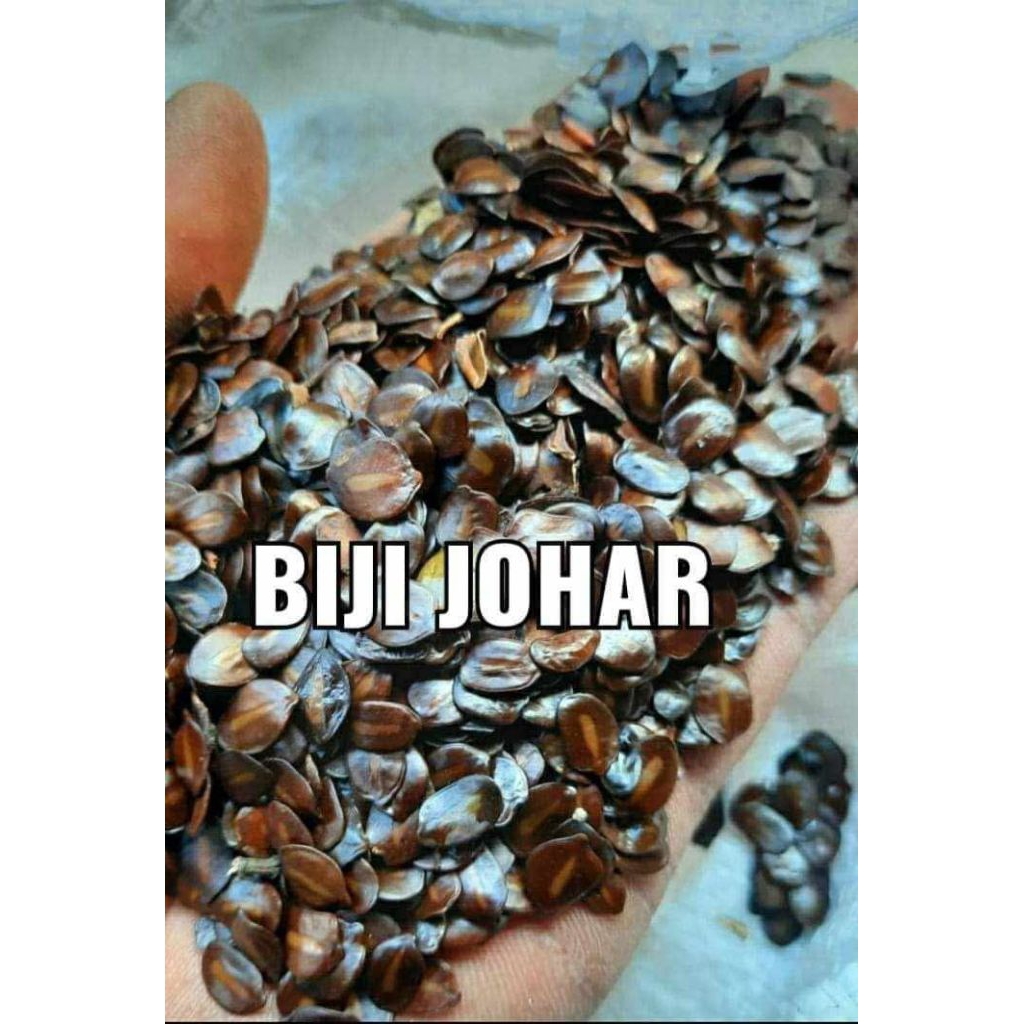 Biji johar
