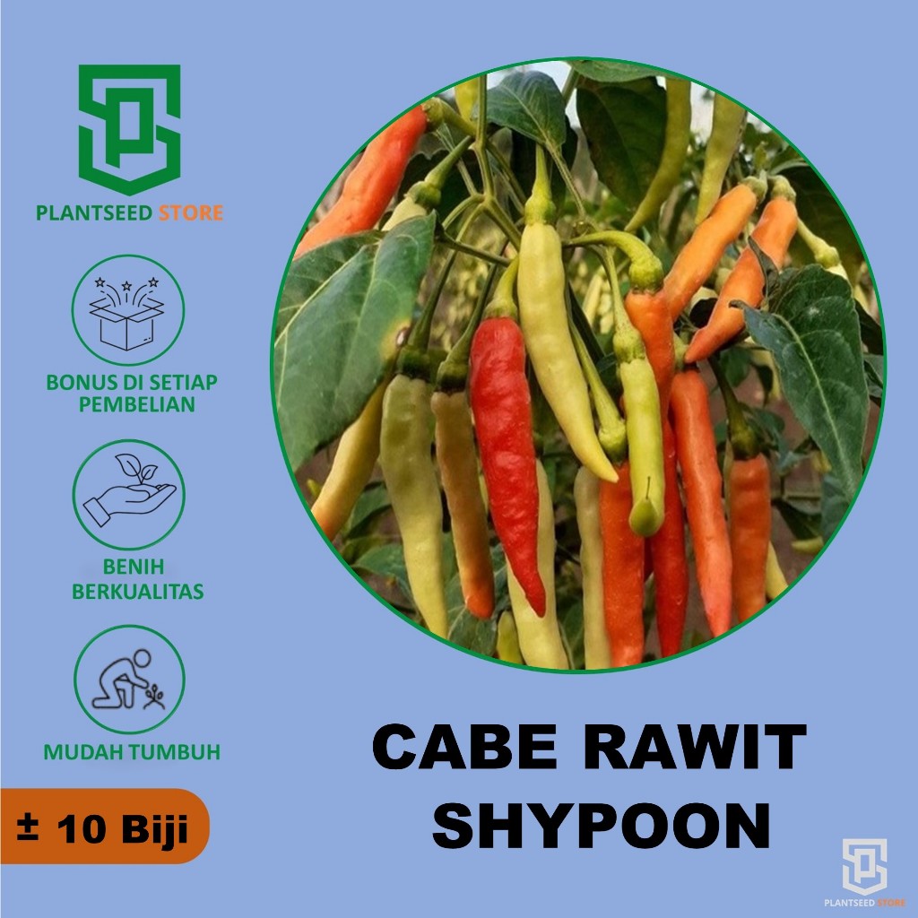 PlantSeed - 10 Benih Bibit Cabe Rawit Shypoon Hibrida
