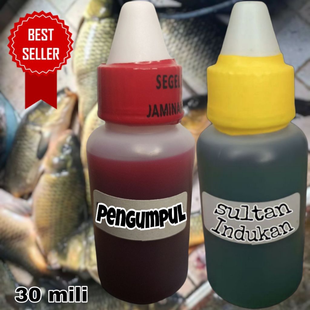 ESSEN JUARA IKAN MAS - Kombinasi Pengumpul & Sultan Indukan | Best Seller