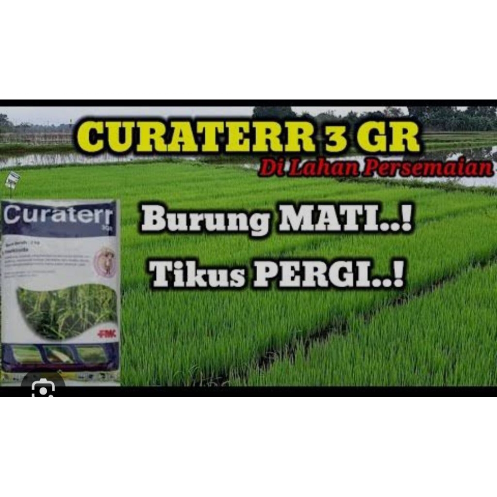 Curaterr