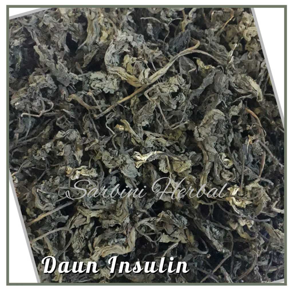 

Daun Insulin Kering / Kering Daun Insulin 500 gram / 1000 gram / Simplisia Kering Daun Insulin Garansi Terjamin 100% Asli Murni / Bahan Daun Insulin Kering / Bahan Daun Insulin Premium / Jamu Herbal Daun Insulin Tradisional Tanpa Bahan Pengawet