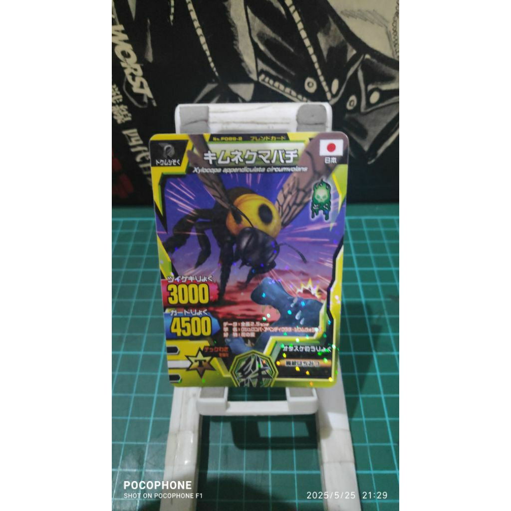 kartu animal kaiser friend large carpenter bee japan card