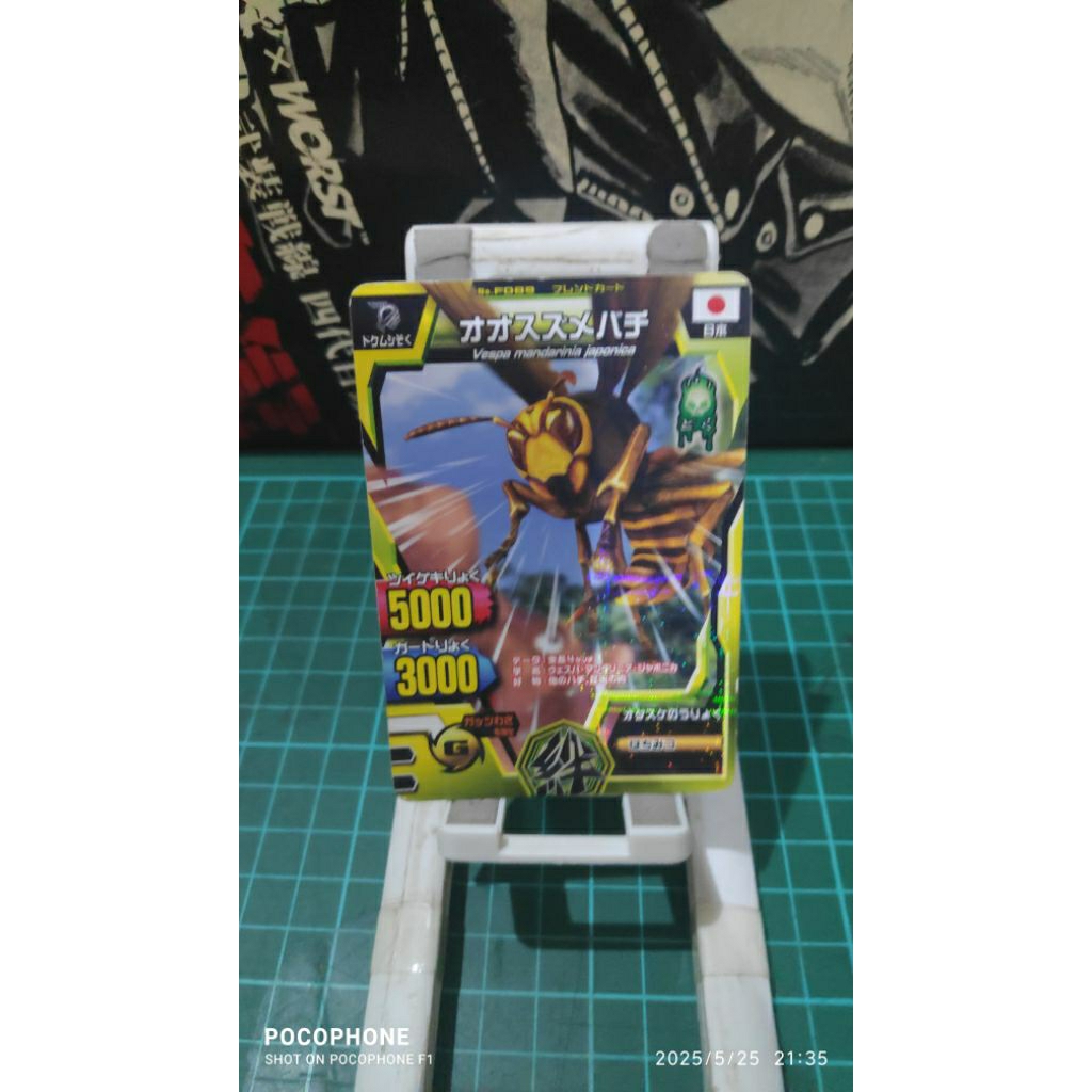 kartu animal kaiser friend giant hornet japan card