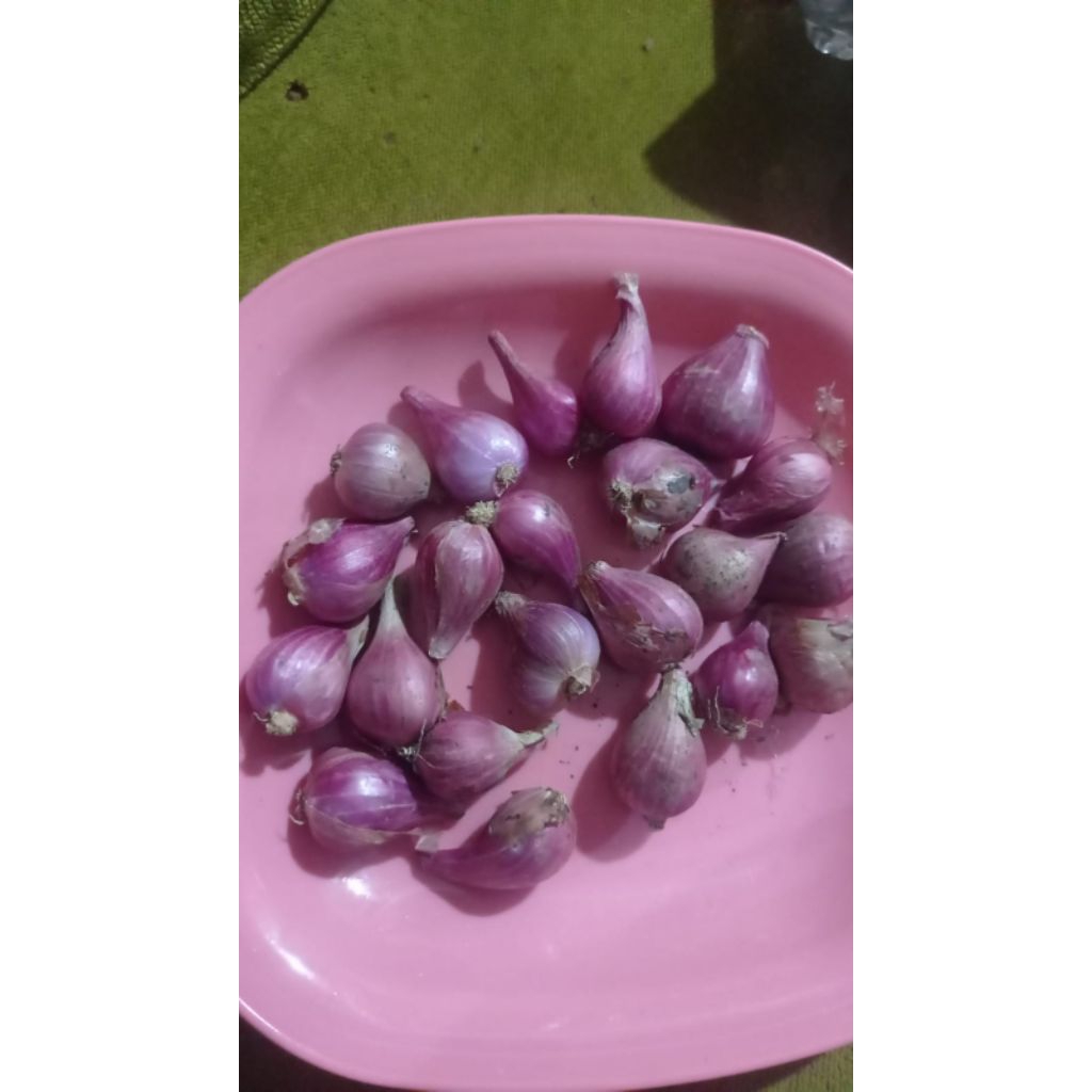 

Bawang merah 1kg