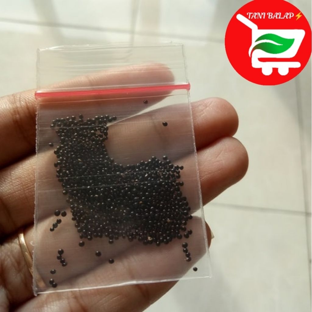 

TANI BALAP MALANG 87 Benih Bayam (3g)