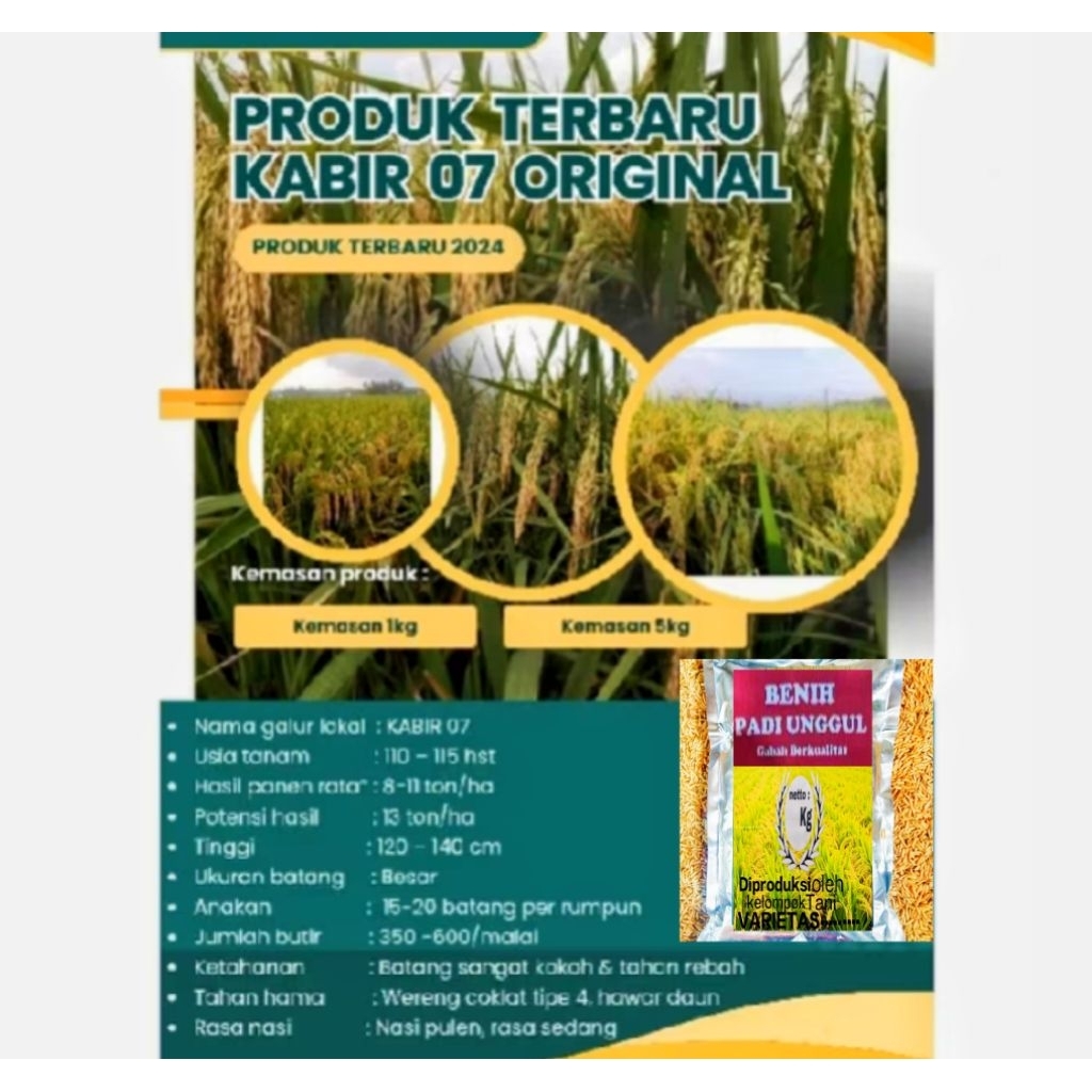 BENIH PADI UNGGULAN KABIRI 07 100% ORIGINAL 5KG