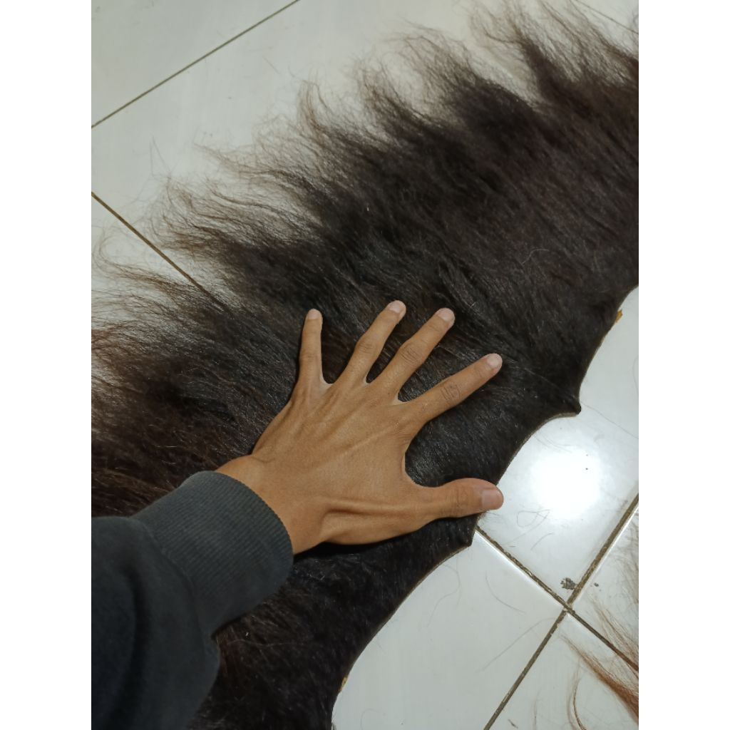 SURI/RAMBUT KUDA ASLI PANJANG RAMBUT 30-35 cm