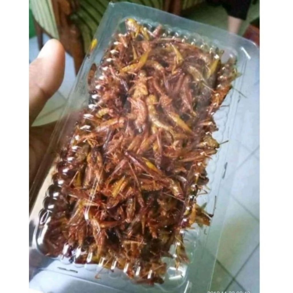 

belalanggoreng gurih50grm