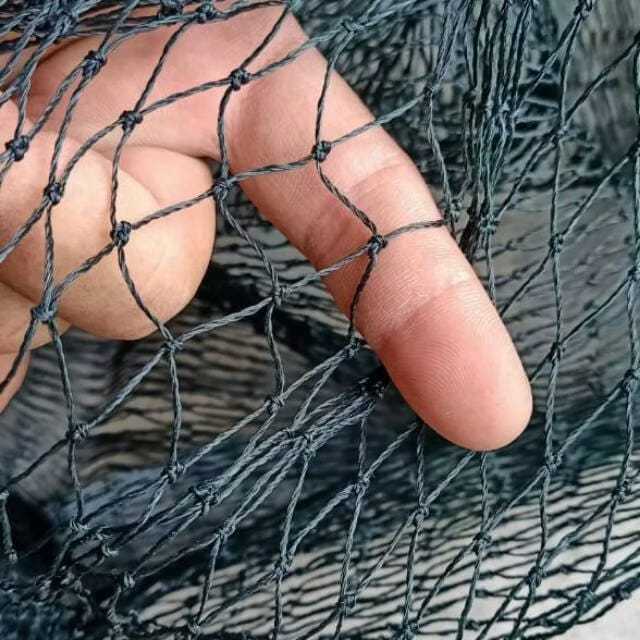 COD 1,5 Meter X 10 Meter lubang 1,5 x 1,5cm Jaring pagar ayam atau bebek hrg 1 pcs