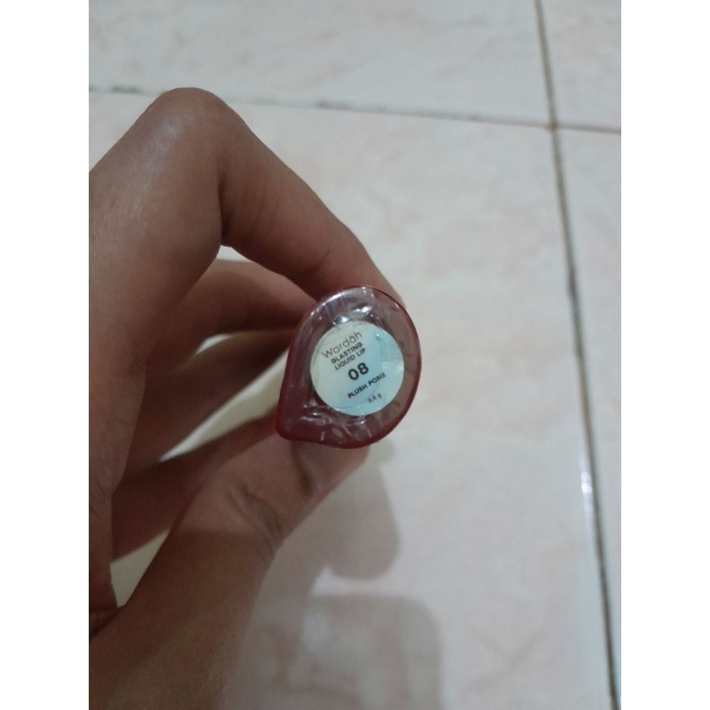 wardah glasting shade 08 plush pome