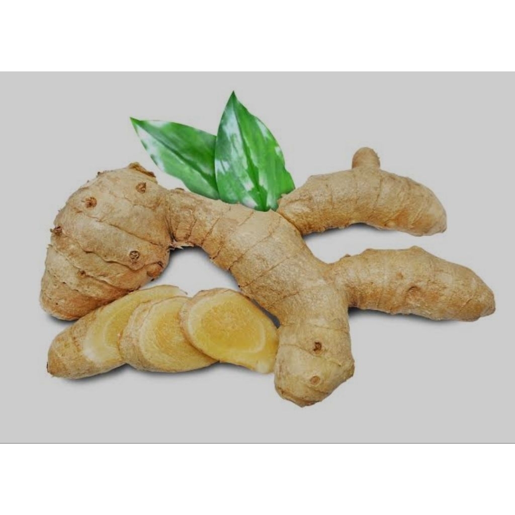 

kunyit putih temu putih/obat herbal jamu jamuan/ isi 500gr redii