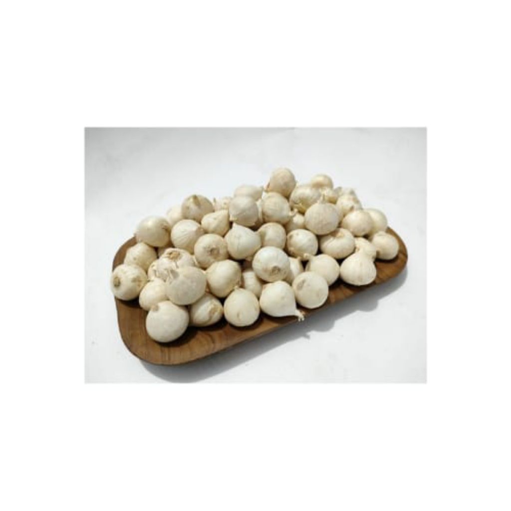 

bawang putih tunggal lanang bawang putih lanang