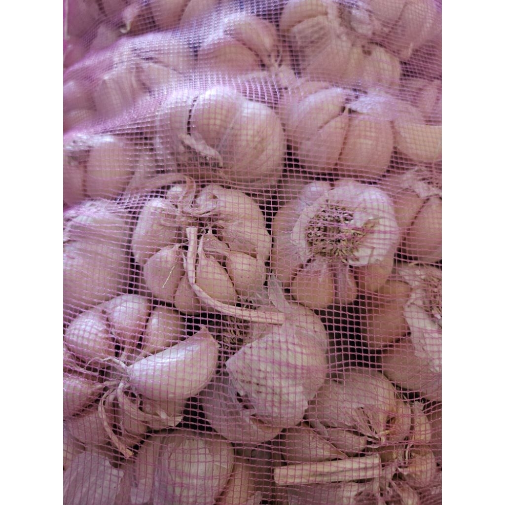 

Bawang Putih Segar 500gr