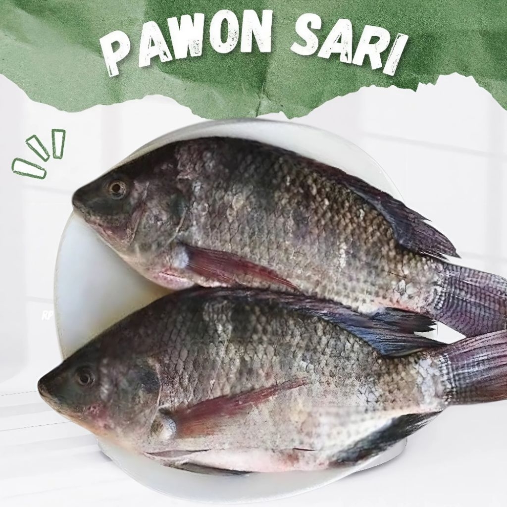 

ikan mujair/mujar segar 1kg