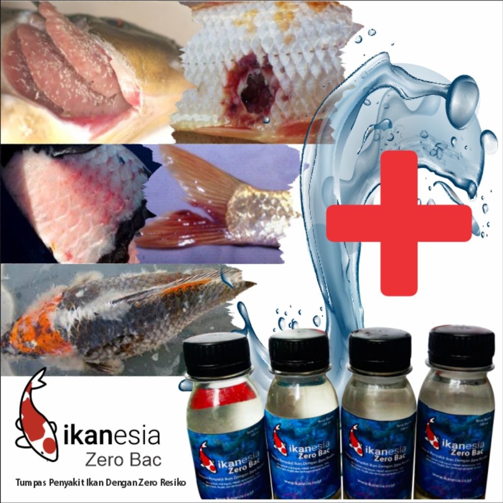 Obat Ikan Koi, Mas Koki, Arwana, Channa Zero Bac 100 ml Ampuh untuk Penyakit Ikan