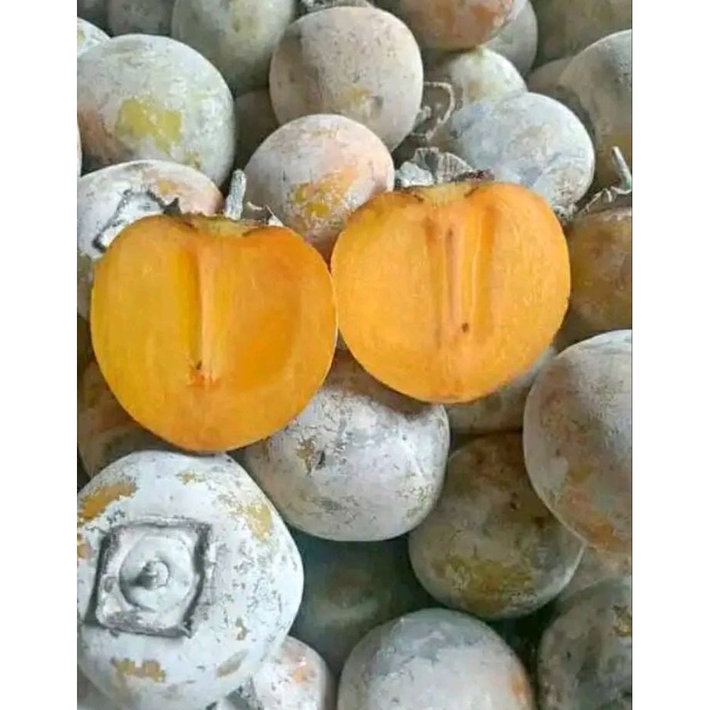 

Buah kesemek buah persimon madu 1kg
