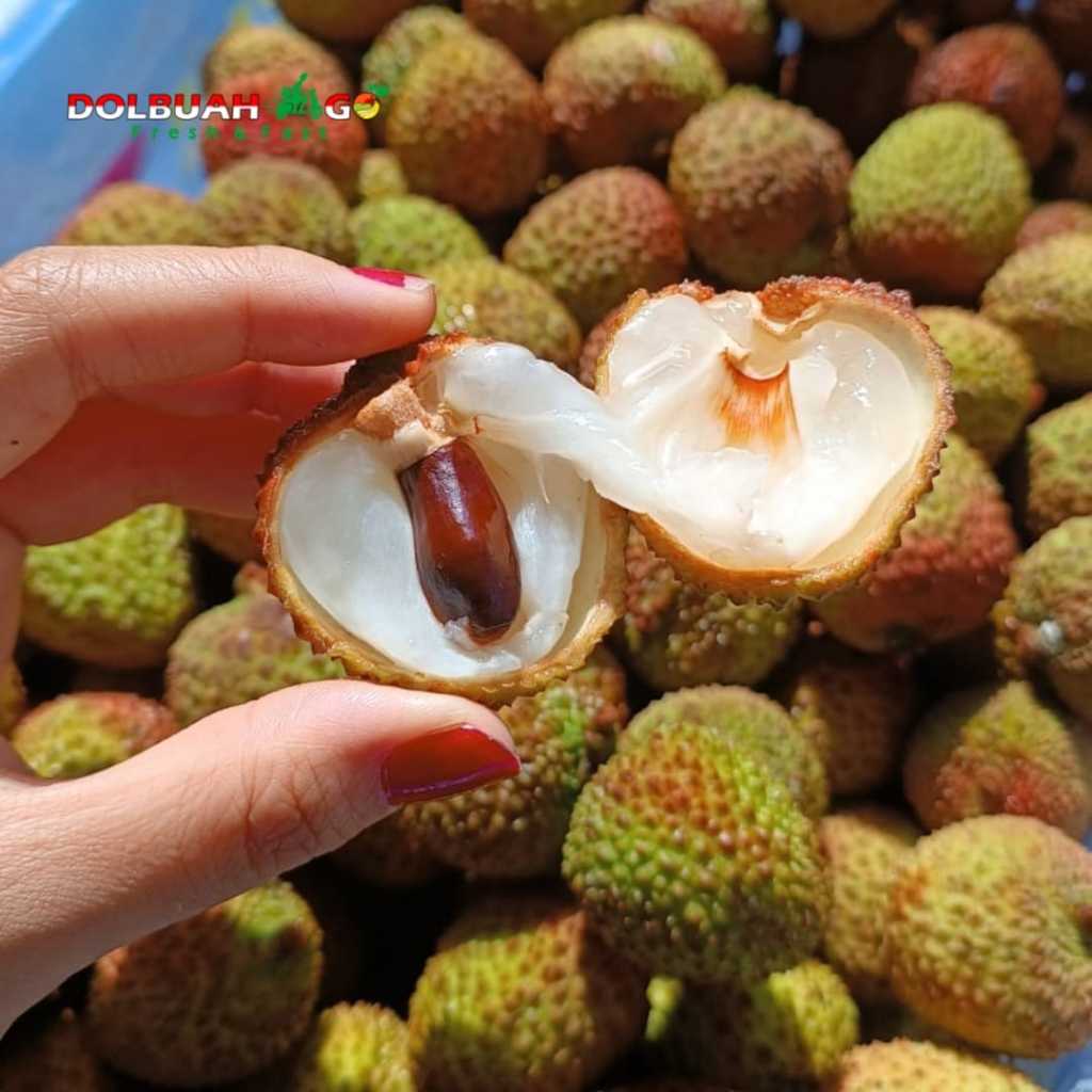 

Leci Madu Pemium Manis Fresh Juicy Lychee Import - INSTAN SEMARANG - Dolbuah