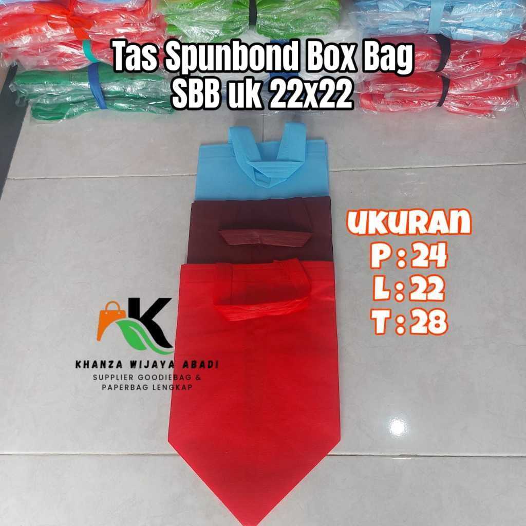 

Tas Spunbond ukuran 24x22x28 / SBB 22 Tas Box Nasi / Harga Satuan