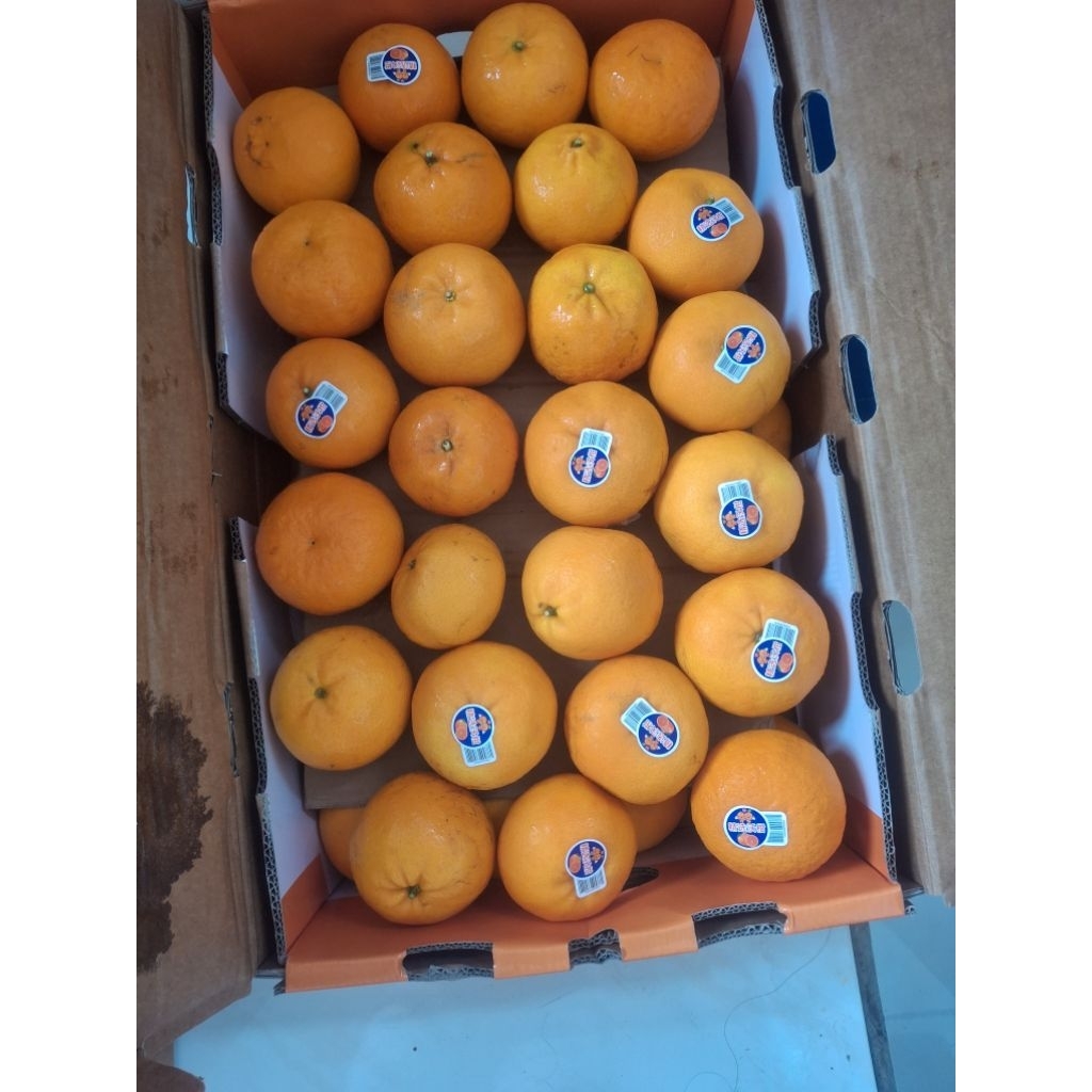 

Jeruk Wogam / Wokam 1kg Malang Kota