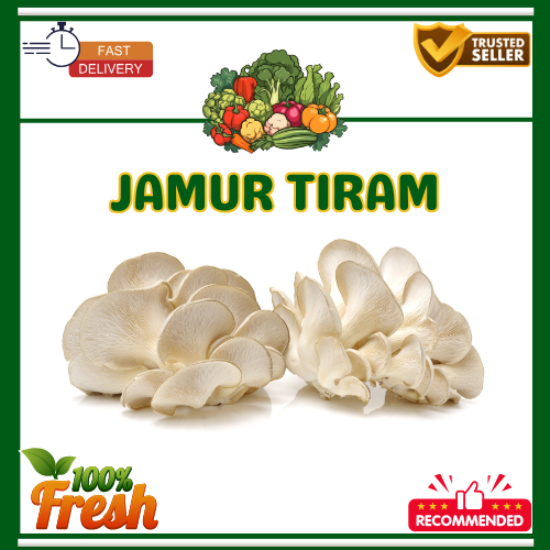 

KIRIM INTTAN Jamur Tiram Fresh Bersih 250gr