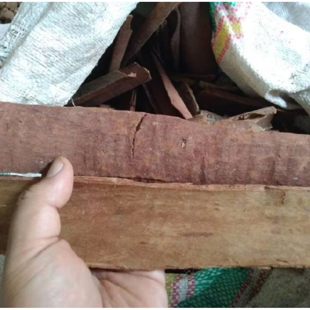 

Kulit Kayu Sintok 1 kg