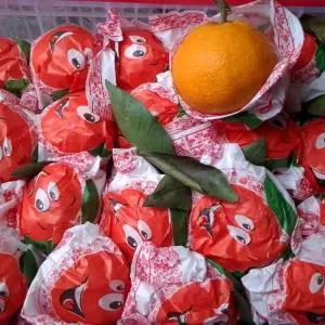 

jeruk dekopon/papagan 450g