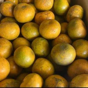 

Jeruk Medan Berastagi 1kg/1000 gram