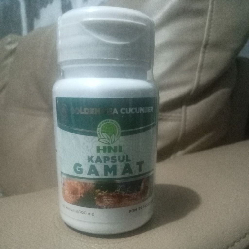 HNI KAPSUL GAMAT