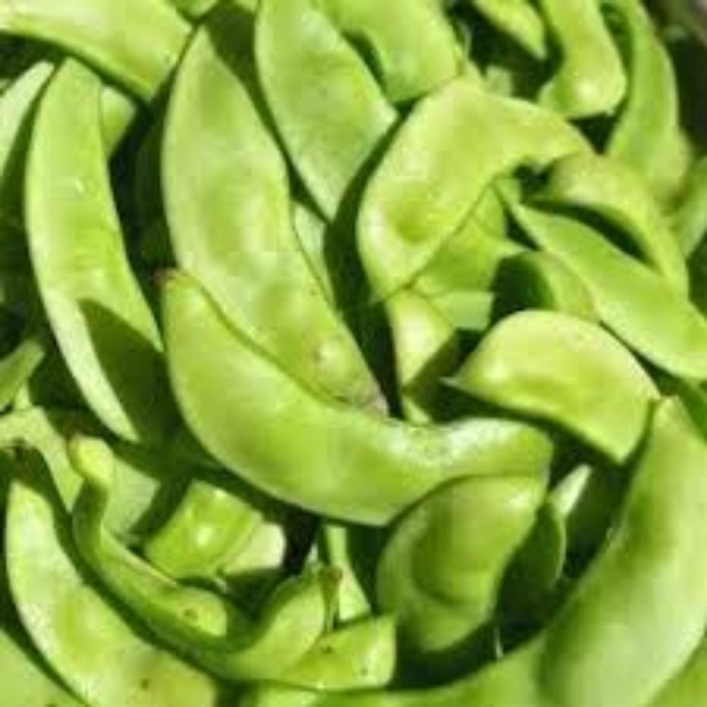 

Sayur Kacang Roay/Koro Kurupuk/Kacang Krotok 100 gram