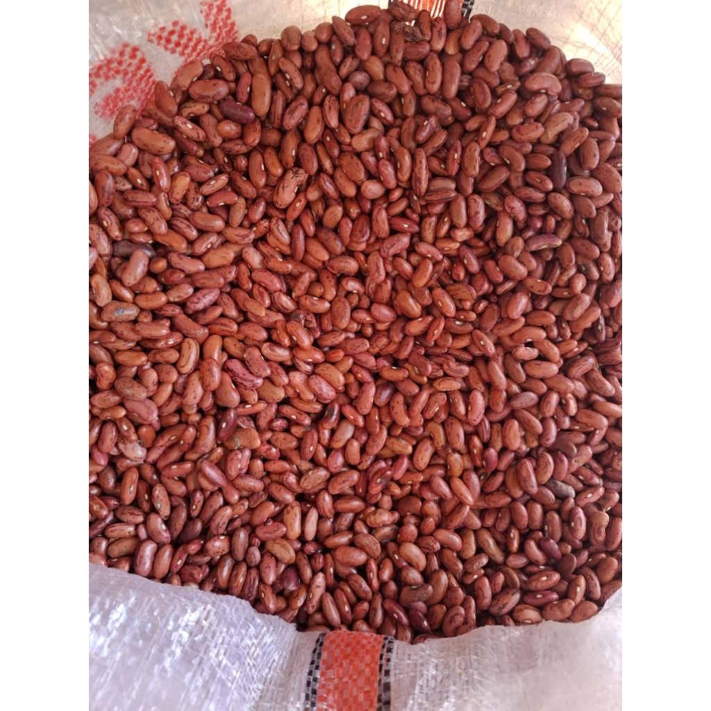 

Kacang merah 250 gr, 500 gr