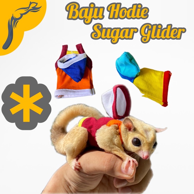 KODE F28Z Baju Sugar Glider Jantan Hodie Sugar Glider Hamster Jaket Sugar Glider Topi Sugar Glider P