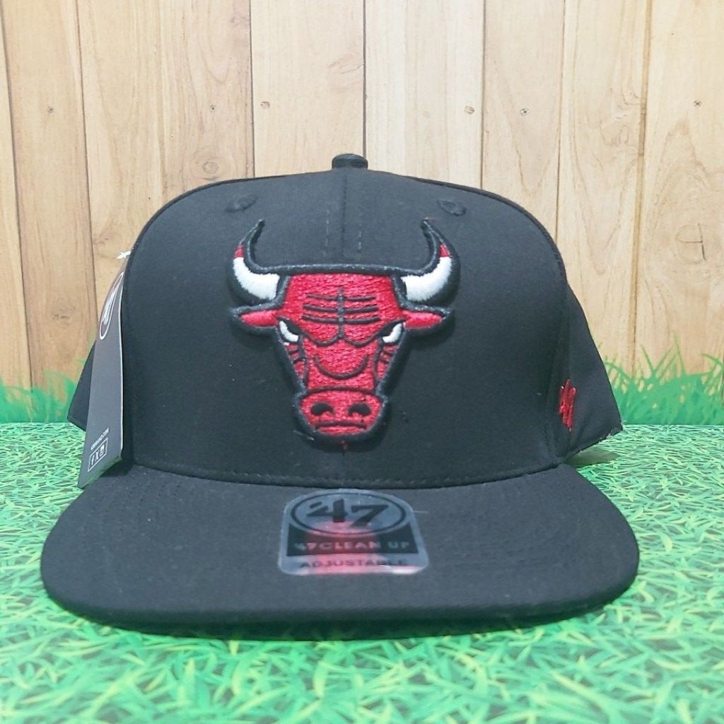 Banteng setelan / Topi Snapback / Topi Bordir Premium